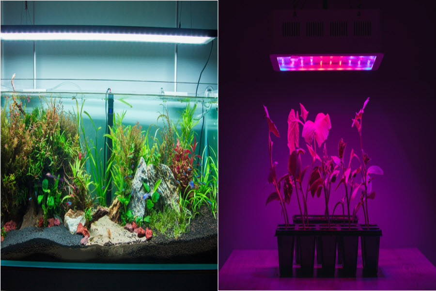 aquarium light vs grow light