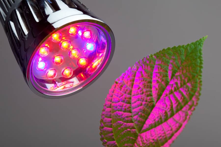 aquarium light vs grow light