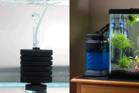 sponge filter and canister filter