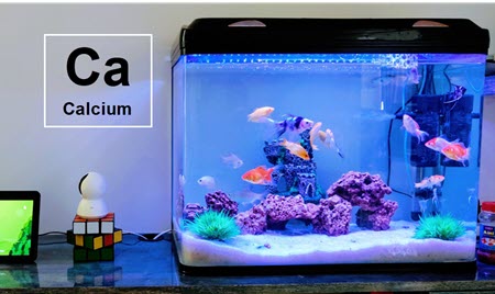 how to add calcium to freshwater aquarium