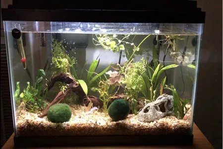 How to build aquarium substrate1