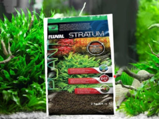 fluval stratum1