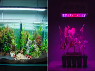 aquarium light vs grow lights