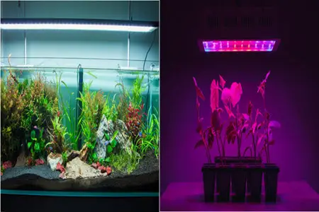 aquarium light vs grow lights