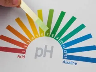 how to maintain pH level in aquarium