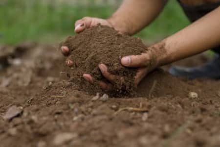 can you use regular soil for aquariums